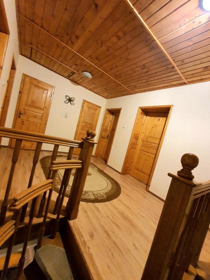 Vila Luca'S Cîrţişoara Exterior foto
