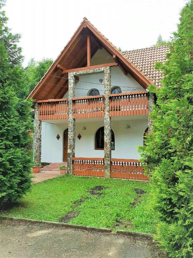 Vila Luca'S Cîrţişoara Exterior foto